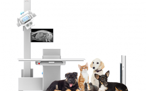 Rayence gears up for Veterinary Medical Device Market